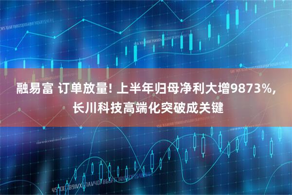 融易富 订单放量! 上半年归母净利大增9873%, 长川科技高端化突破成关键