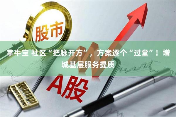 掌牛宝 社区“把脉开方”，方案逐个“过堂”！增城基层服务提质