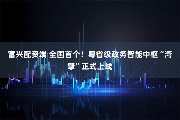 富兴配资端 全国首个！粤省级政务智能中枢“湾擎”正式上线