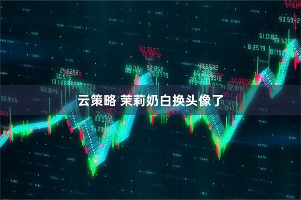 云策略 茉莉奶白换头像了